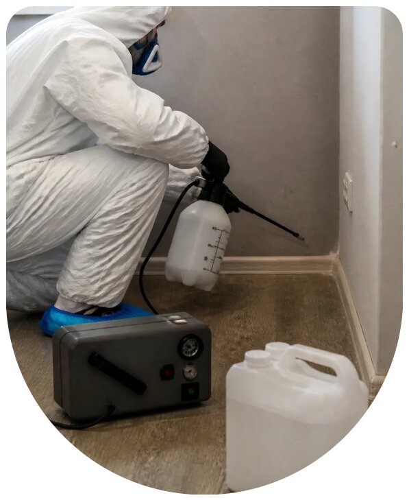 Устранение стойкого запаха мочи в Вязниках профессионально